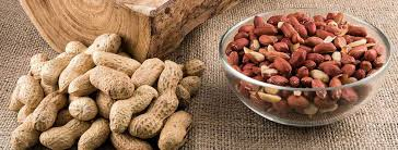 بادام زمینی آستانه پوست‌ کنده مناسب استفاده در شیرینی‌ پزی